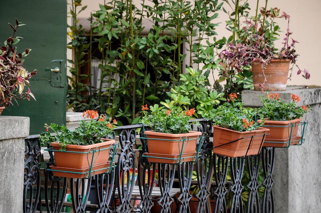 Residenza Betta Bed & Breakfast Firenze Eksteriør bilde